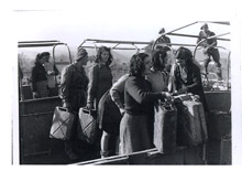Falconara. Italian girls employed at a British  petrol dump during transfer empty cans from one truck to another - November 10th, 1944