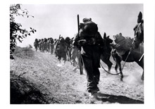 Men of the 2nd Bn Cameron Highlanders, with their supply mule train, move up to reinforce the position - September 1st, 1944